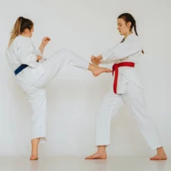 Unique Bargains Coach Teaching Practice Martial Arts Taekwondo Belts 2 Pcs -Futuro Brand GUEST 12d7d96e f08c 42b1 a6f3 bc169422142f