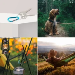 Unique Bargains Aluminum Hiking D-Ring Keychain Carabiner Hook Teal 1.6" X 0.8" X 0.16" 5 Pcs -Futuro Brand GUEST 5a00cc1d d0bb 4384 8b6f 2cd627b0b54c